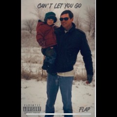 Can’t Let U Go (Prod. Felly)