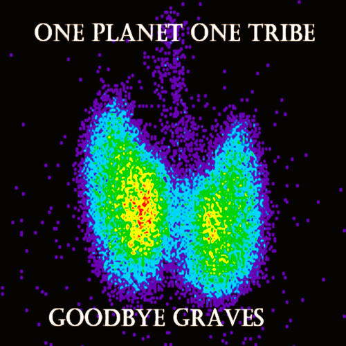 Goodbye Graves (Disease) (2024) -The Spiral Archive - 02 Don't Wanna Talk About It