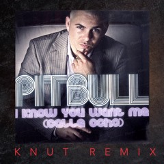 Pitbull - Calle Ocho (KNUT Remix)