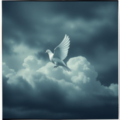 Paper Peace