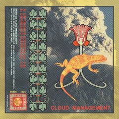 Cloud Management- Unfinished Business CS