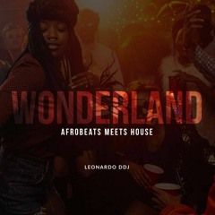 Wonderland: Afrobeats Meets House