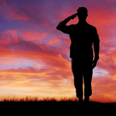 no need to salute