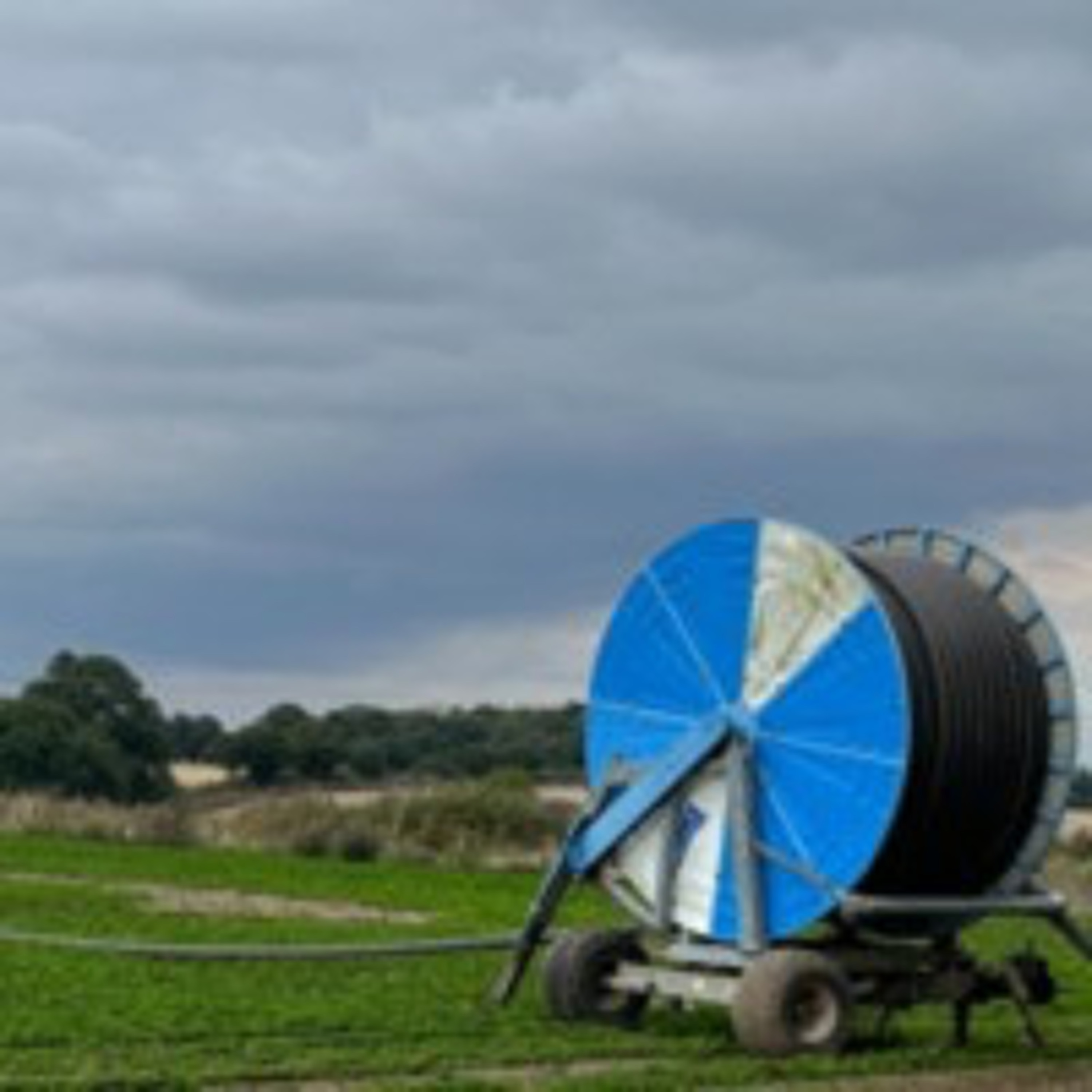 Field Irrigation System, 4th September 2024 episode artwork