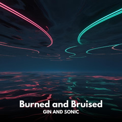 Gin and Sonic - Burned and Bruised
