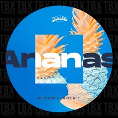 Premiere: Hermann, Harleatz - Ananas (Extented Mix) [Komete Records]