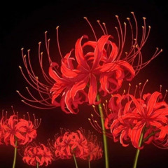 as flores mais belas manchadas de sangue (prod. YOUNGMESA)