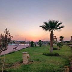 تامر عاشور محظوظ