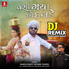 Vasi Gaya Chho Dalde (Dj Remix)