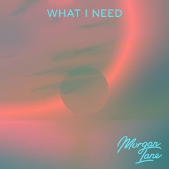 Morgan Lane - what i need