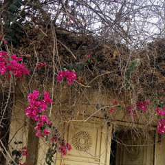 ‎⁨صالح الحريبي  | قل لمن كان في الغرام وفيّا⁩