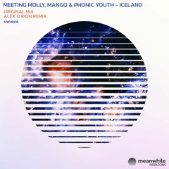 Premiere: Meeting Molly, Mango, Phonic Youth - Iceland (Alex O'Rion Remix) [Meanwhile Horizon]