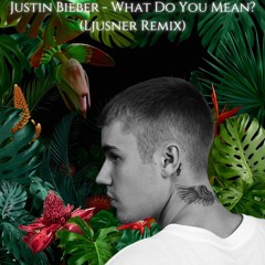 Justin Bieber - What Do You Mean?  (Ljusner Remix) *PITCHED DUE COPYRIGHT*