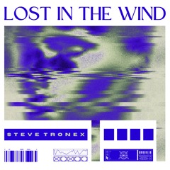 Steve Tronex - Lost In The Wind
