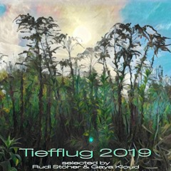 Tiefflug 2019  - mixed and compiled by Rudi Stöher & Gaya Kloud
