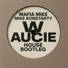 Mafia Mike & Mike Konstanty - W Aucie