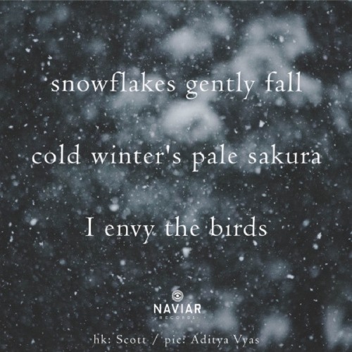 naviarhaiku378: snowflakes gently fall