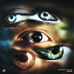 BraydenK & Staarz - Wicked