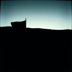 Lied aus Moos und Wind