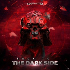 Back To The Dark Side ****(released by Minus32rec)****