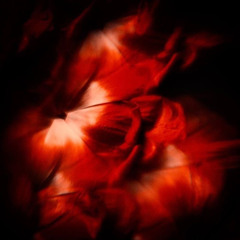 ✩♬ ˚🎧⋆☾✧ | REDDAHLIA | 002