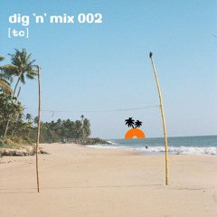 Dig 'n' Mix 002: TC