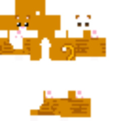 FLORIN SALAMPALAME PALAMELIVE 2025 ATMOSPHERE