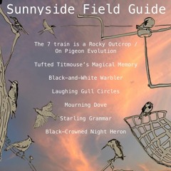 Sunnyside Field Guide -- live at Smiling Hogshead Ranch 9/30/23