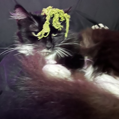 carte vitale (TECHNO EDIT)