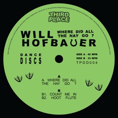 Will Hofbauer - Where Did All The Hay Go? [Third Place Records]