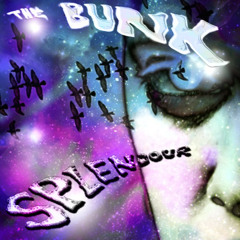 The Bunk - Splendour 2008