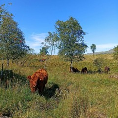 Disco Delights & Italo Nights Mix