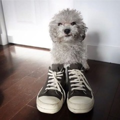 Bigfoot