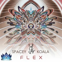 FLEX Album by Spacey Koala