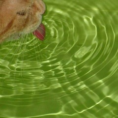 Cheb Terro - Kima Koopsta Knicca (Slowed+Reverb)