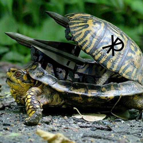 War Turtles