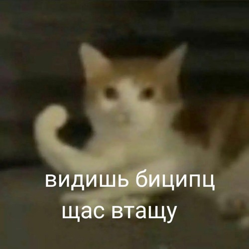 смешарики заставка