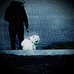 0VeRd0Se (prod. wayziss x Namelesss)