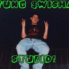 Yung $wisha- STUPID!