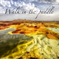 Walk in the puddle ( Live )