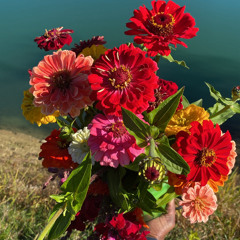 I Need it Today X Latch