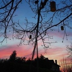 elif doğan–bir rüya gördüm