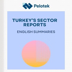 Turkey's Sector Reports - English Summaries