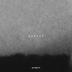 BLXXTHE - wonder. (Flip)