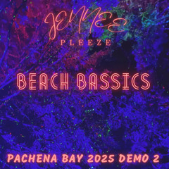 BEACH BASSICS