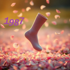 1987  right  sock