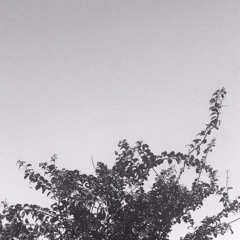 arrangements