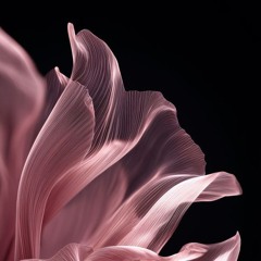 YOGURCITO X IKAMAIKEL STYLE