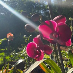 21.07.2022 - Cap. XII - Amai os Vossos Inimigos - Pagar o Mal com o Bem (4)