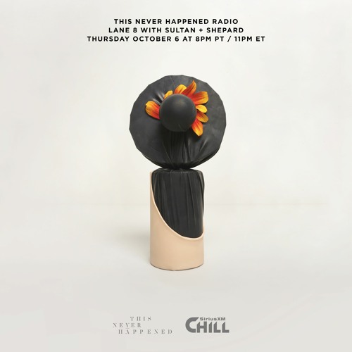 TNH Radio on SiriusXM Chill - Sultan + Shepard (Guest Mix)